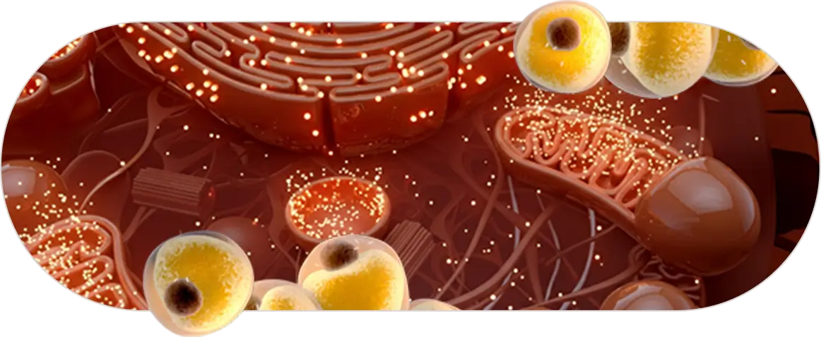 Thermogenic Resistance